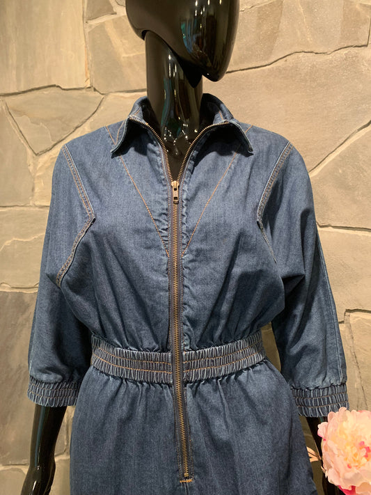 Eva Mendes New York & Company Denim Jumpsuit