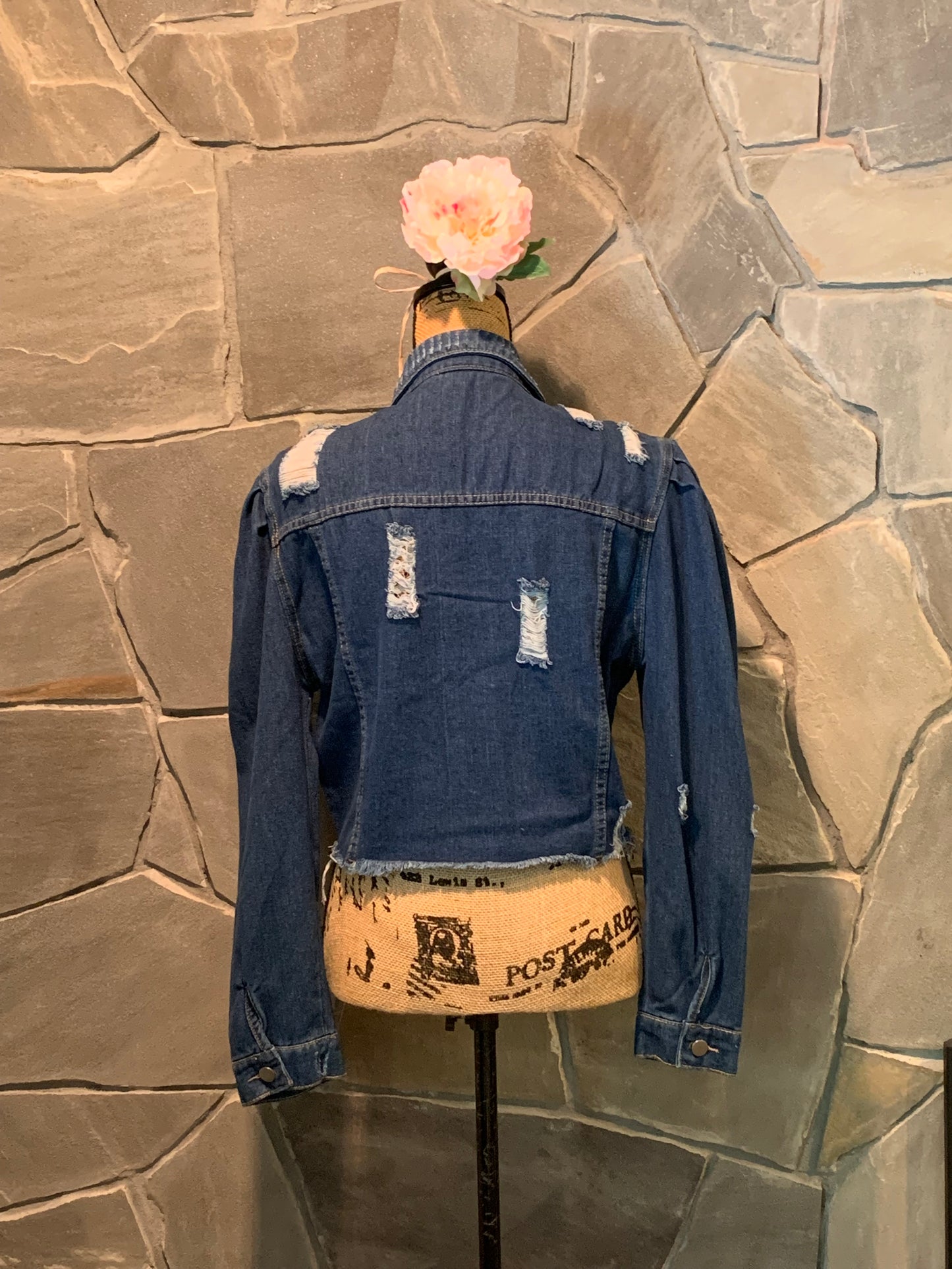 Jeans Denim Jacket NWOT